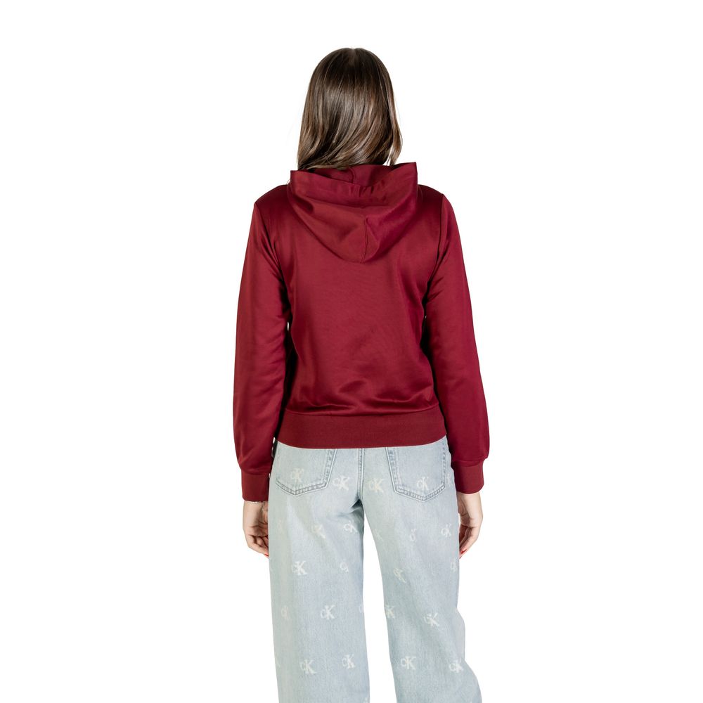 Sweat à capuche en coton bordeaux Calvin Klein