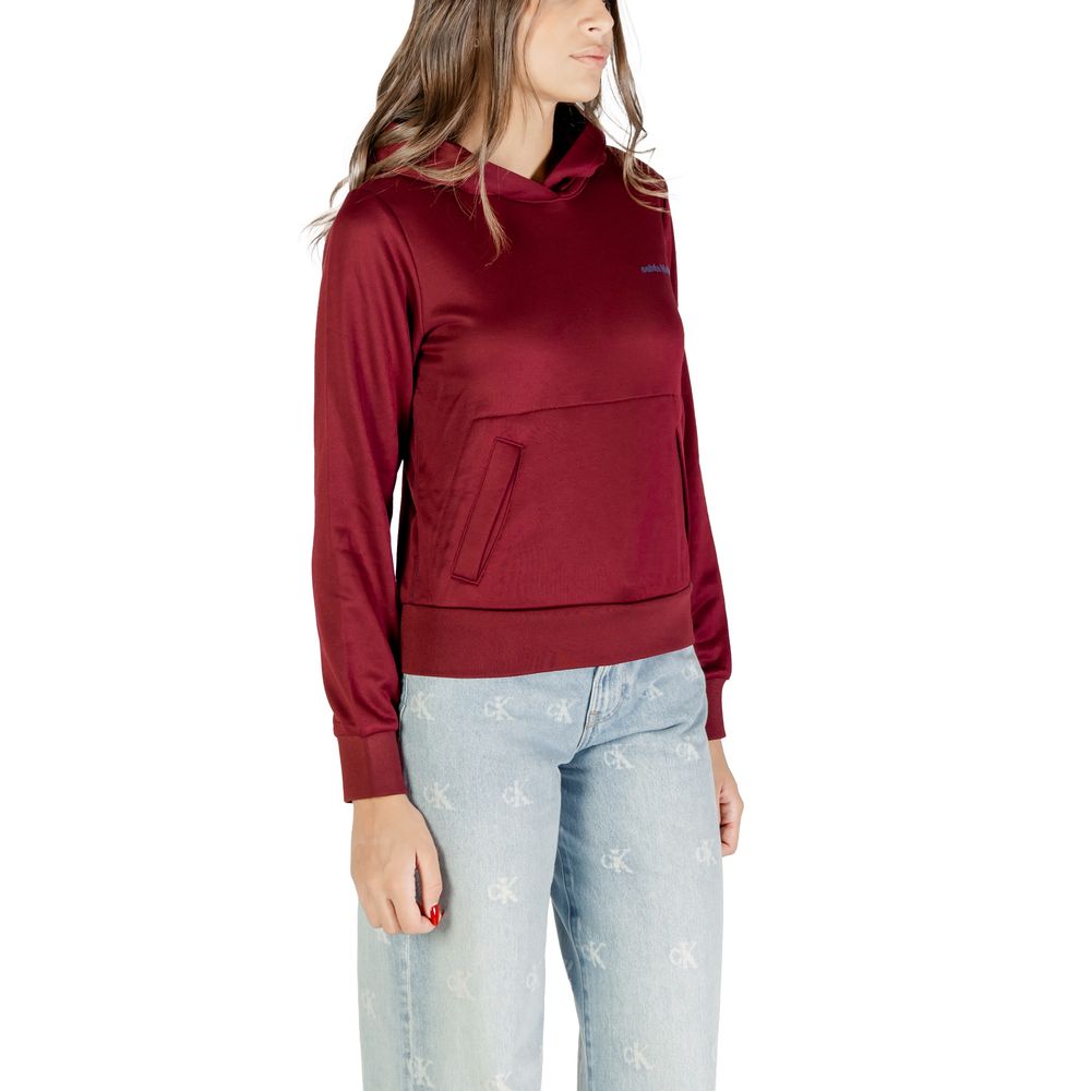 Sweat à capuche en coton bordeaux Calvin Klein